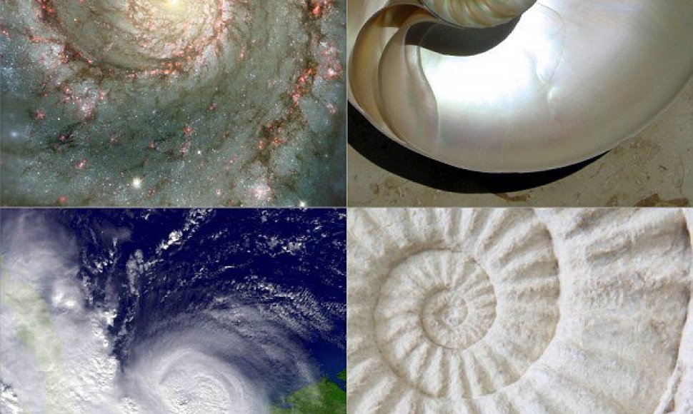 Kad skaičiaus Fi apraiškų apstu visoje visatoje, byloja visur esančios logaritminės spiralės. Vieni įspūdingiausių pavyzdžių – Sūkurio galaktika M51, moliuskų kriauklių geldelės, uraganas Katrina