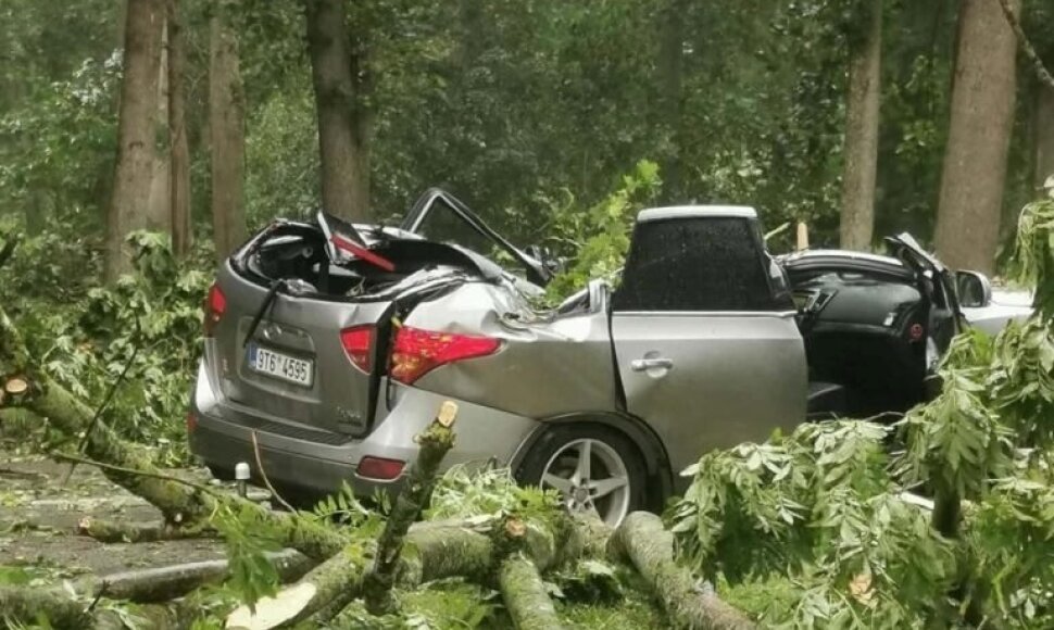 Akademijoje suniokotas automobilis