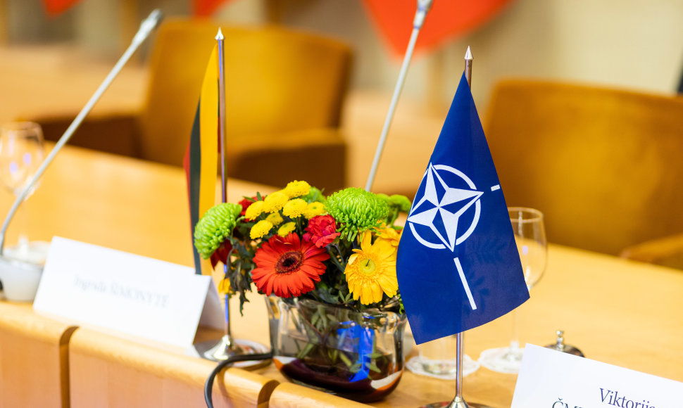 Konferencija dėl NATO viršūnių susitikimo Vilniuje