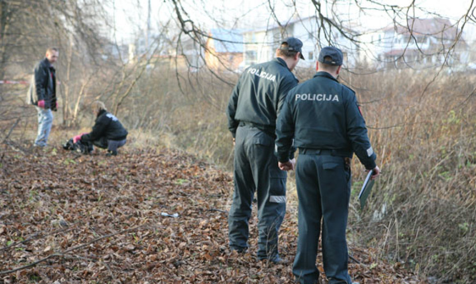 Pirminiais duomenimis, griovyje rasta apie 20 apirusių šunų kūnų