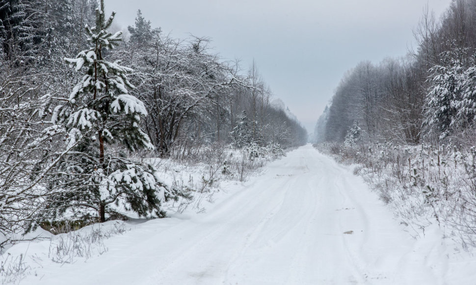 Dzūkijos  kaimuose ir miškuose - tylus žiemos metas