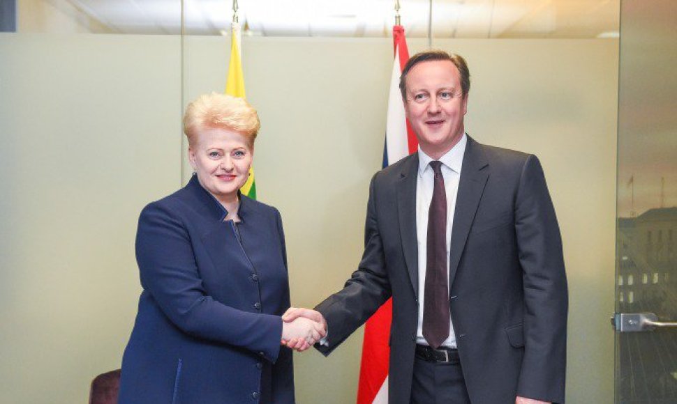 Dalia Grybauskaitė susitiko su britų premjeru Davidu Cameronu