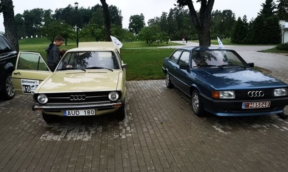 Broliai Virgilijus ir Nerijus Sabuliai istorinėmis „Audi“ aplankė Mindaugo palaidojimo vietą