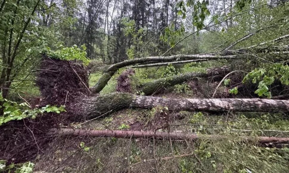 Audra Baltarusijoje: kru&scaron;a ir viesulas