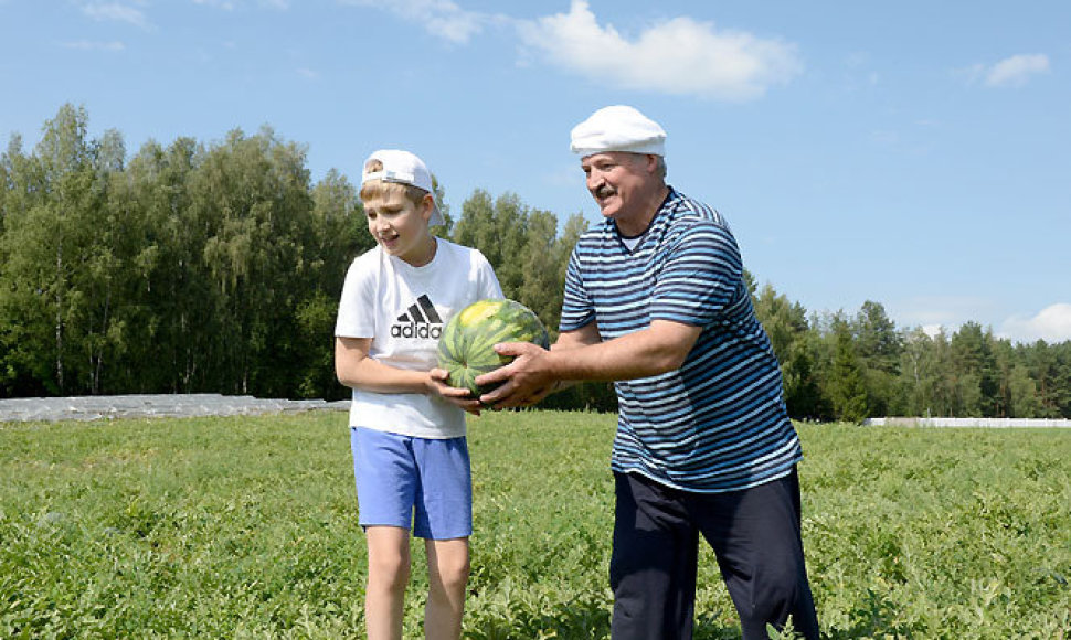 Aliaksandro Lukašenkos sūnus Kolia su tėčiu darbuojasi darže