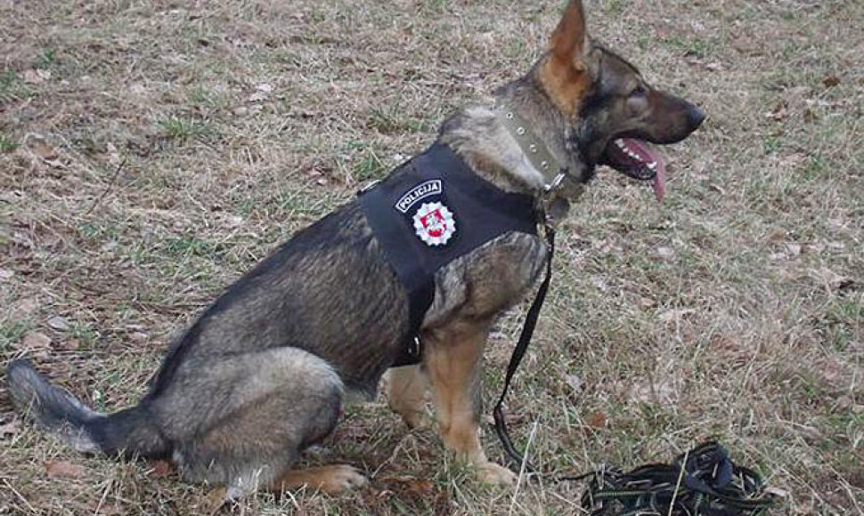 Policijos tarnybinis šuo Ūkas