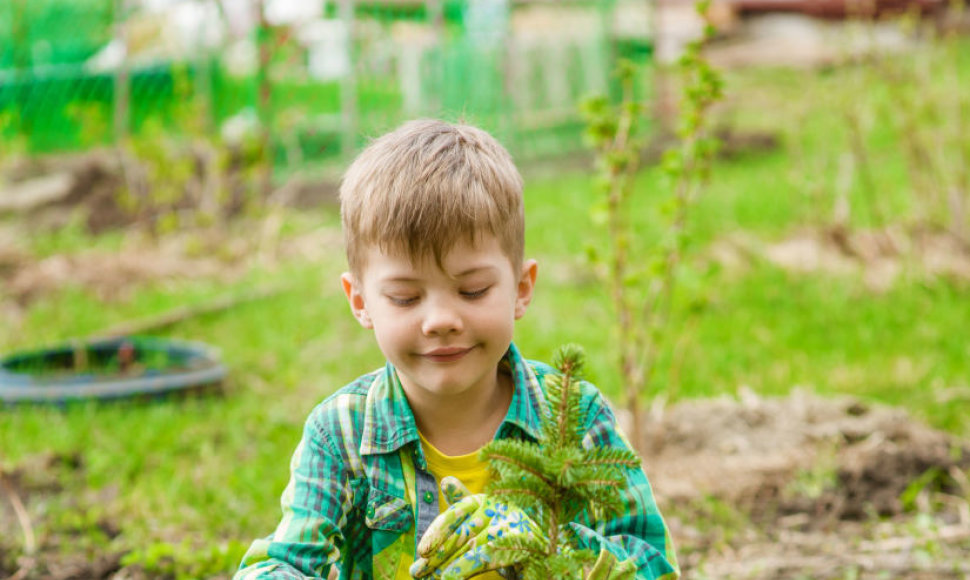 Vaikas sodina augalą (asoc. nuotr.)
