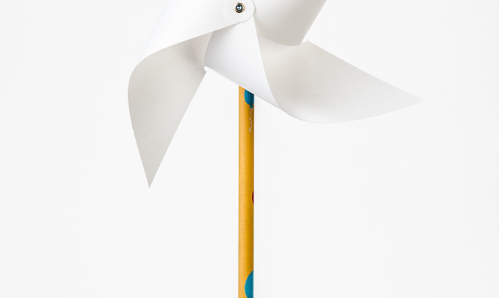 Gerų darbų aukcionas - ekologiškas gero vėjo malūnėlis