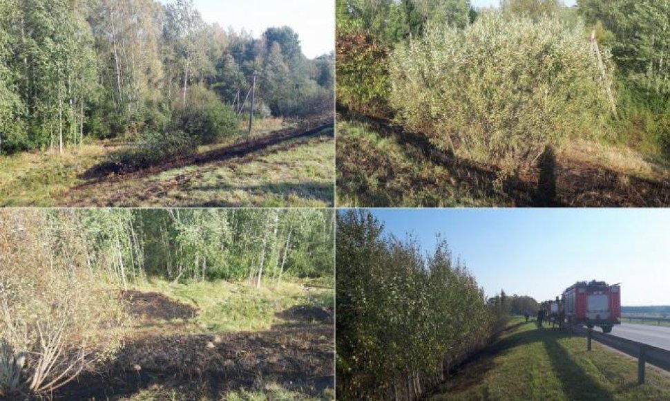 Užvirtęs medis nutraukė aukštos įtampos laidus ir uždegė pievą.