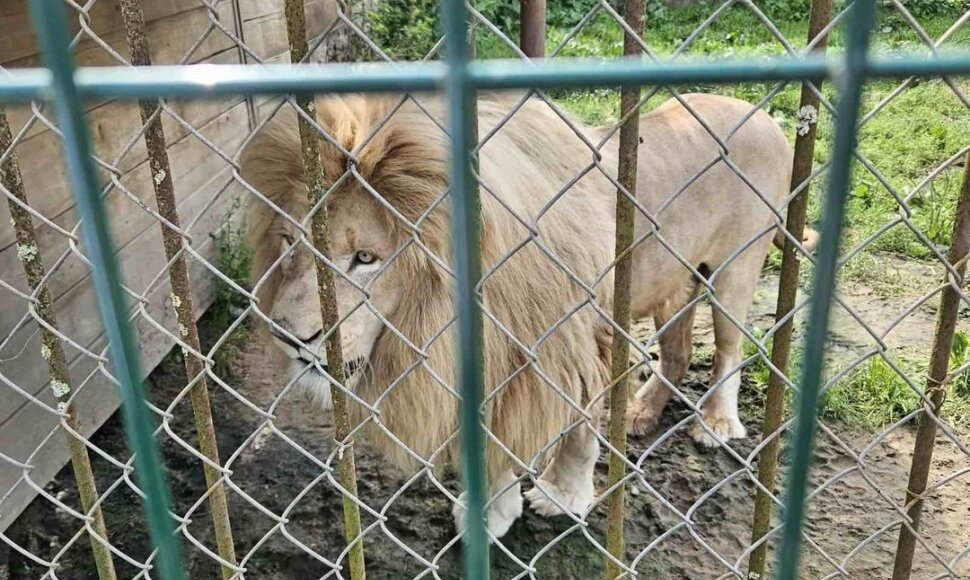 Klaipėdos zoologijos sodą tikrino aplinkosaugininkai