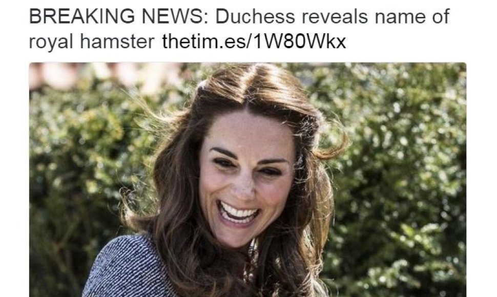 „The Times of London“ skaitytojus papiktino „karštos naujienos“ apie karališkosios šeimos žiurkėno vardą