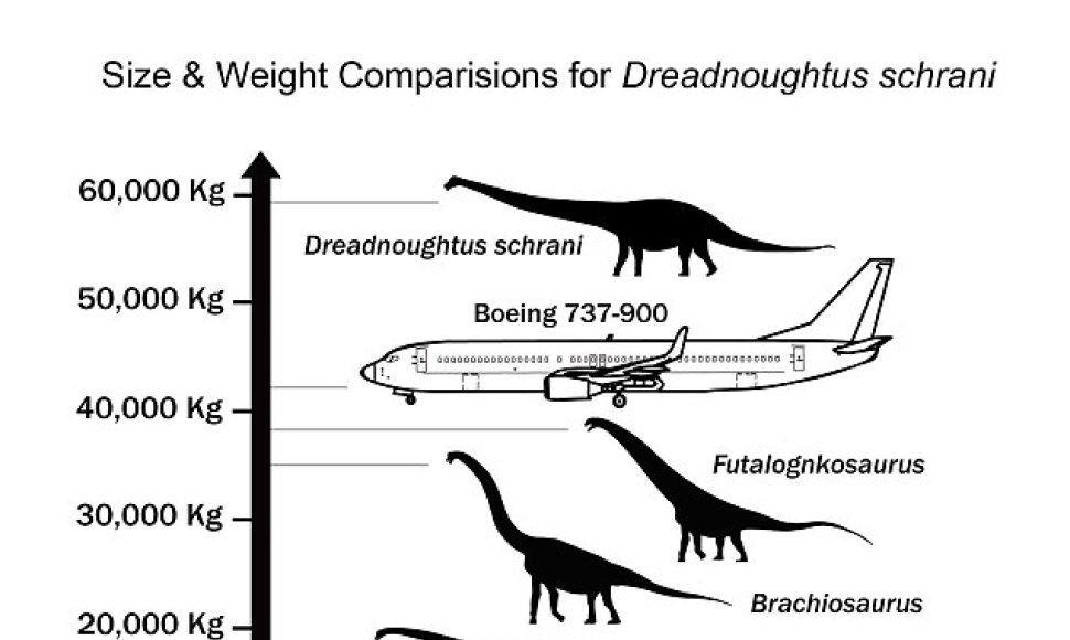 Dinozauro dydžio ir svorio palyginimas