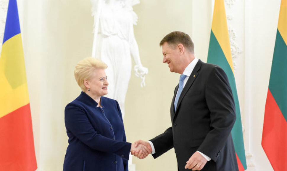 D.Grybauskaitės ir Klauso Iohanisso susitikimas