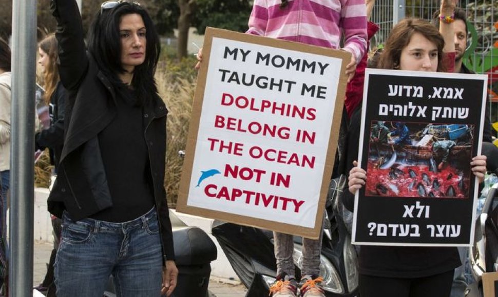 Protestas prieš delfinų žudynes Japonijoje