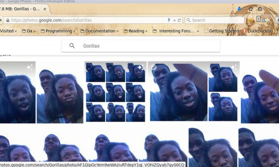 „Google“ veidų atpažinimo funcija juodaodžius palaikė gorilomis