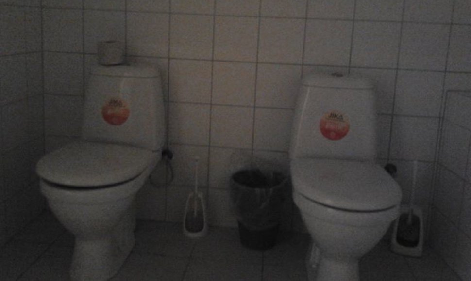 Dvigubas tualetas Kaune