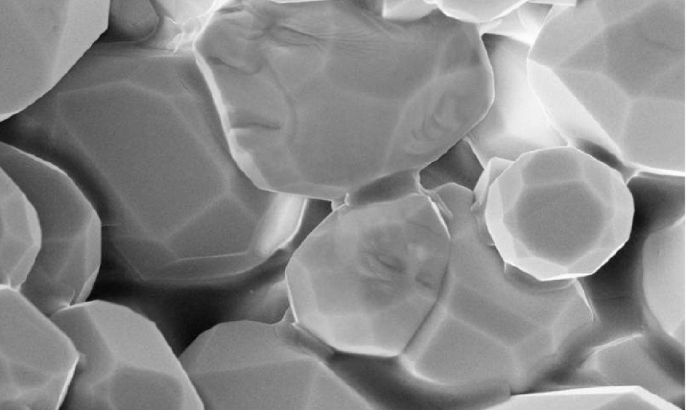 Ličio superjoninės keramikos paviršiaus vaizdas gautas skenuojančiu elektroniniu mikroskopu sukomponuotas su žmonių veidų nuotraukomis. Vizualizacija išgauta VU Radiofizikos katedroje.