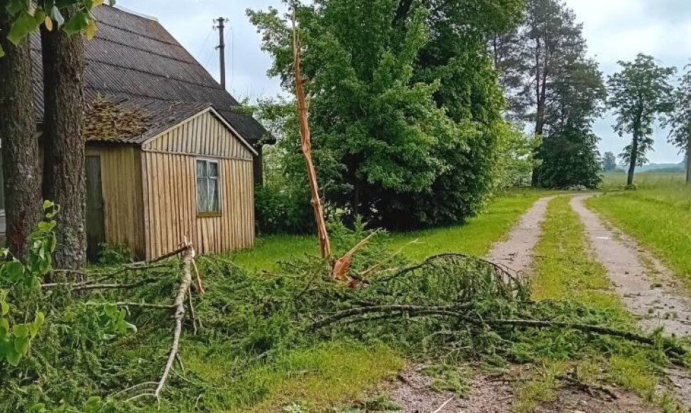 Žaibas suskaldė medį Raseinių rajone