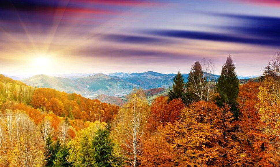 Rudens peizažas