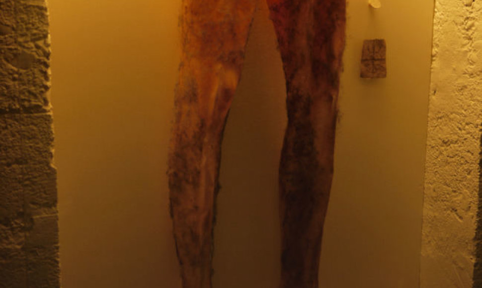Islandijos burtų ir raganystės muziejuje saugomos „negyvėlio kelnės“