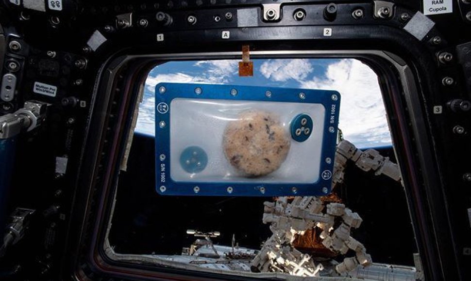 Tai gali tapti pirmojo kosmose iškelto sausainio ruošiniu