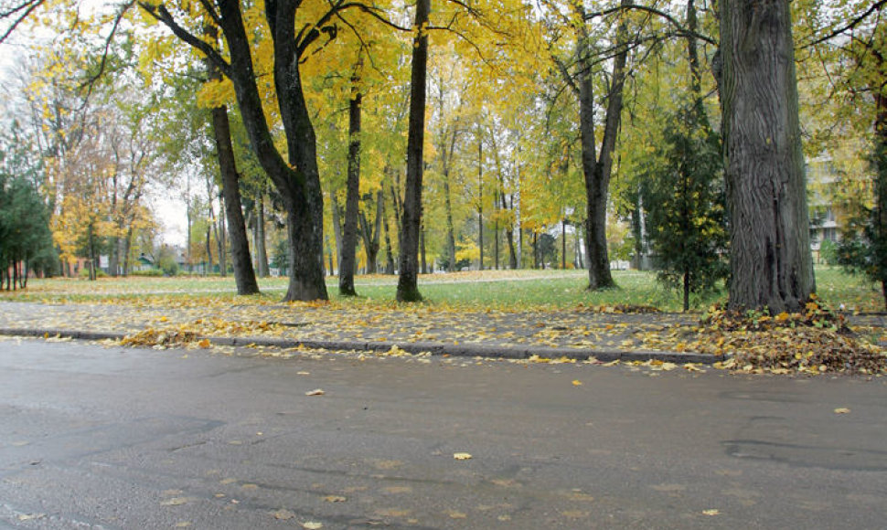 Parkas Druskininkuose