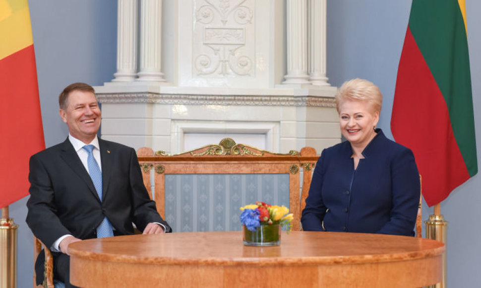 Oficialus Lietuvos ir Rumunijos Prezidentų susitikimas
