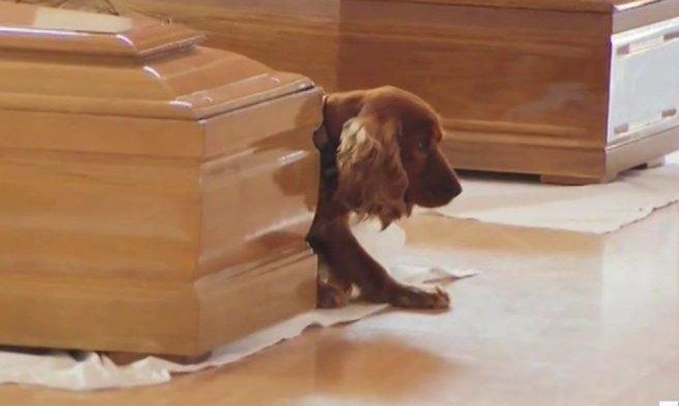Italijoje nuo žuvusio šeimininko karsto nesitraukia šuo
