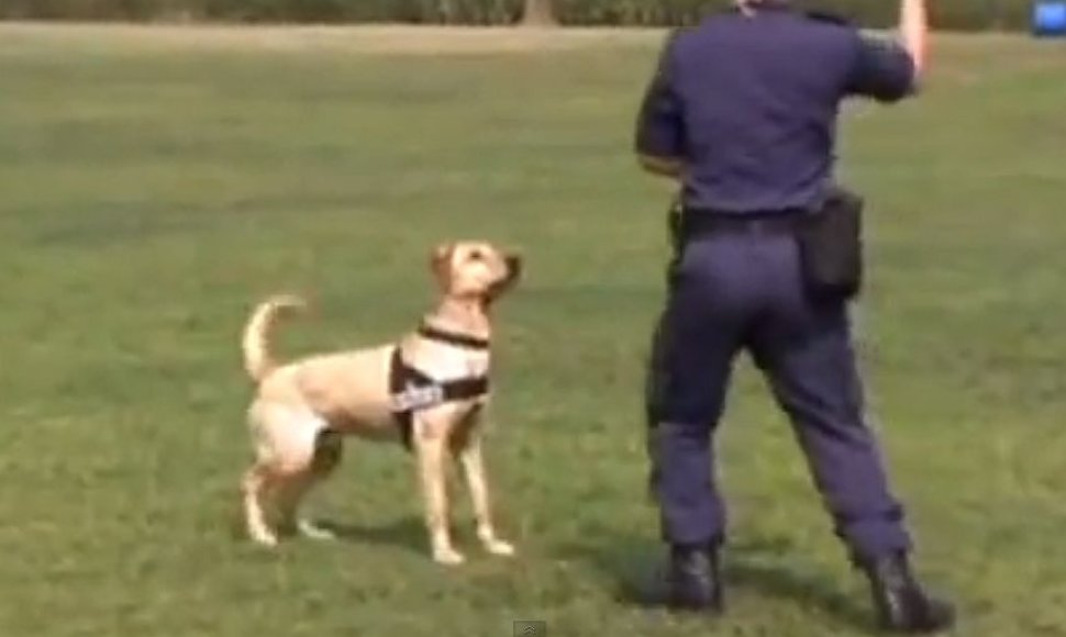 Policininkas ir šuo