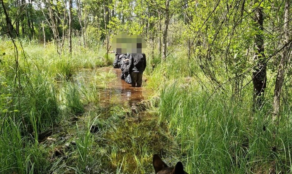 Vokiečių aviganis Grau Latvijoje sugavo dar 6 i&scaron; Baltarusijos įsibrovusius migrantus