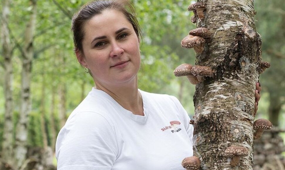 &bdquo;Savaitę mirkai, savaitę pjauni, dvi savaites nieko nedarai&ldquo;, &ndash; trumpai apie &scaron;itakio grybų auginimą pasakojo Renata Rimkienė.