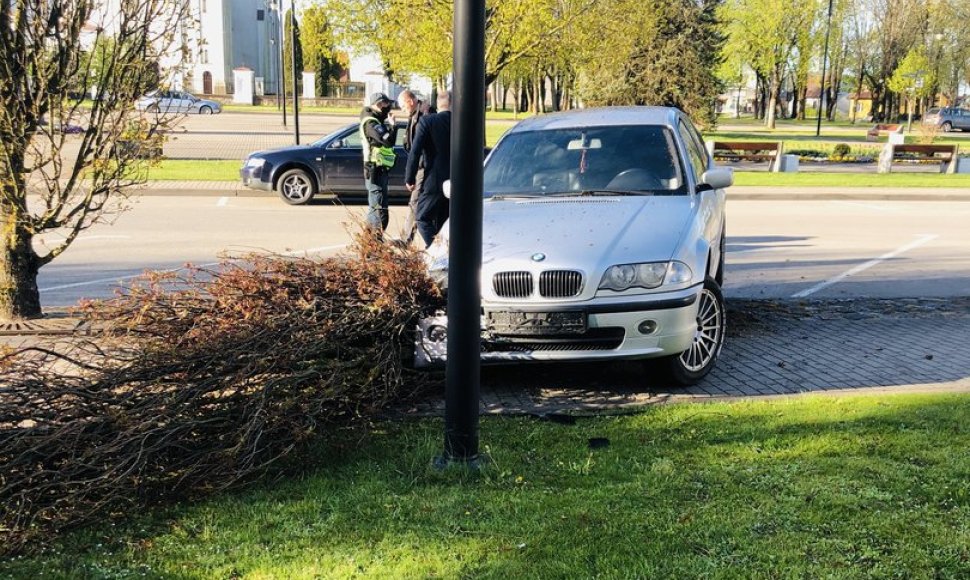 Rietave į ąžuolą atsitrenkęs vaikinas spruko nuėmęs mašinos numerius.