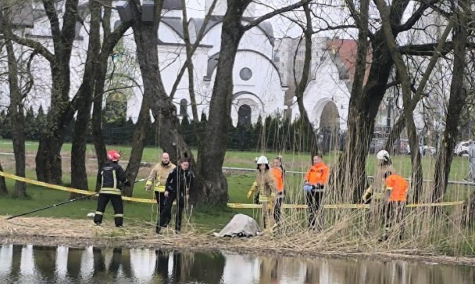 Iš tvenkinio Žardininkų rajone ištrauktas skenduolis