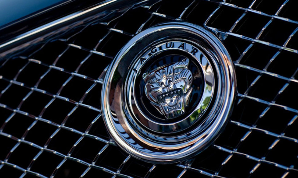 „Jaguar“ ženkliukas