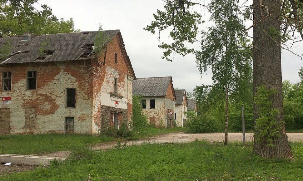 Nenaudojamų teritorijų šalia Kauno oro uosto tvarkymas