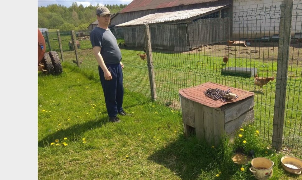 Josvainių seniūnijos Šaravų kaimo gyventojų Valdo ir Jurgitos Vaidotų šunelis buvo pririštas prie būdos ir sergėjo aptvare laikomas vištas