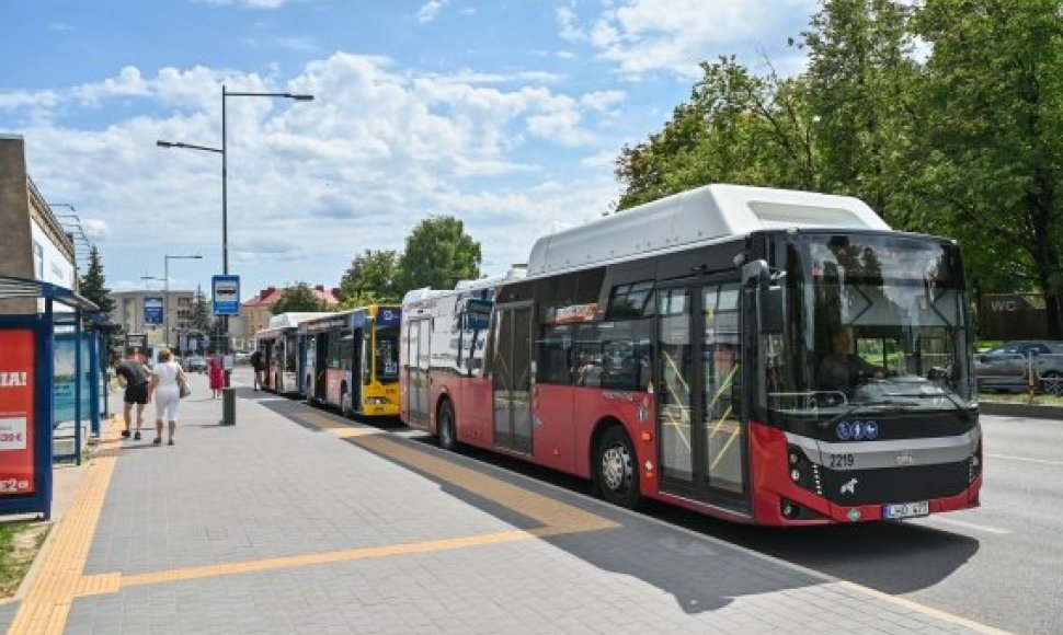 Viešasis transportas