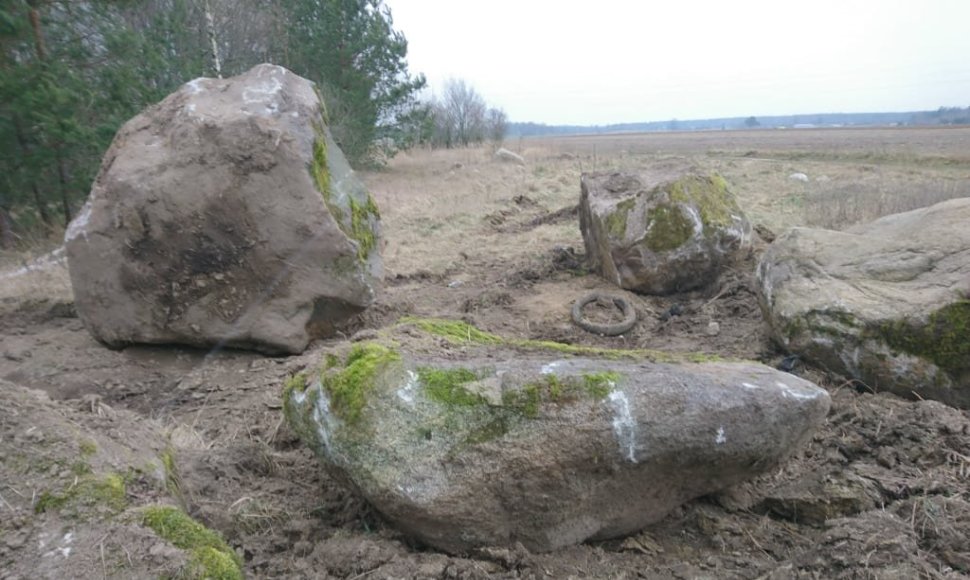 Vieta Varėnos rajone, iš kurios galimai neteisėtai pasisavinti rieduliai