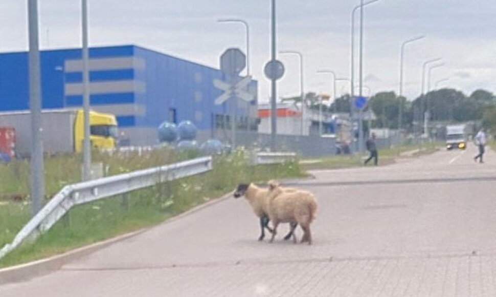 Įvykio vietoje