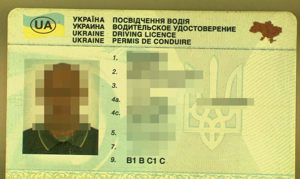 Ukrainos vairuotojo pažymėjimo pavyzdys