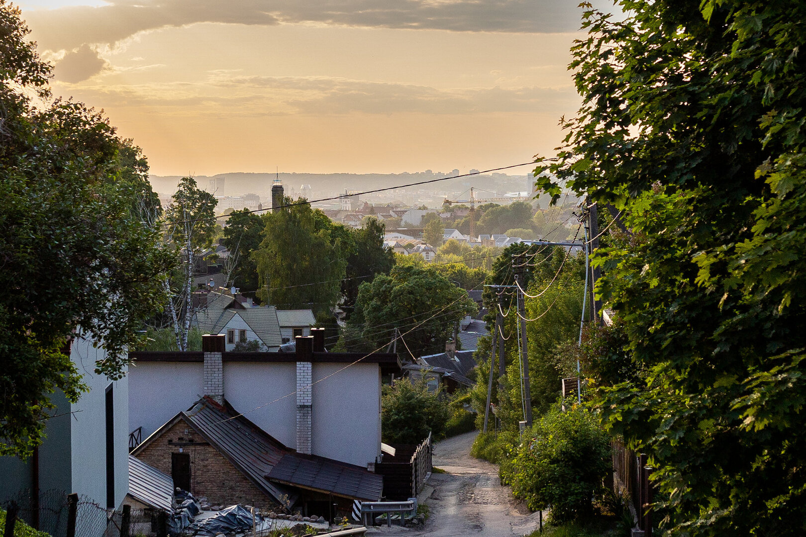 Markučiai