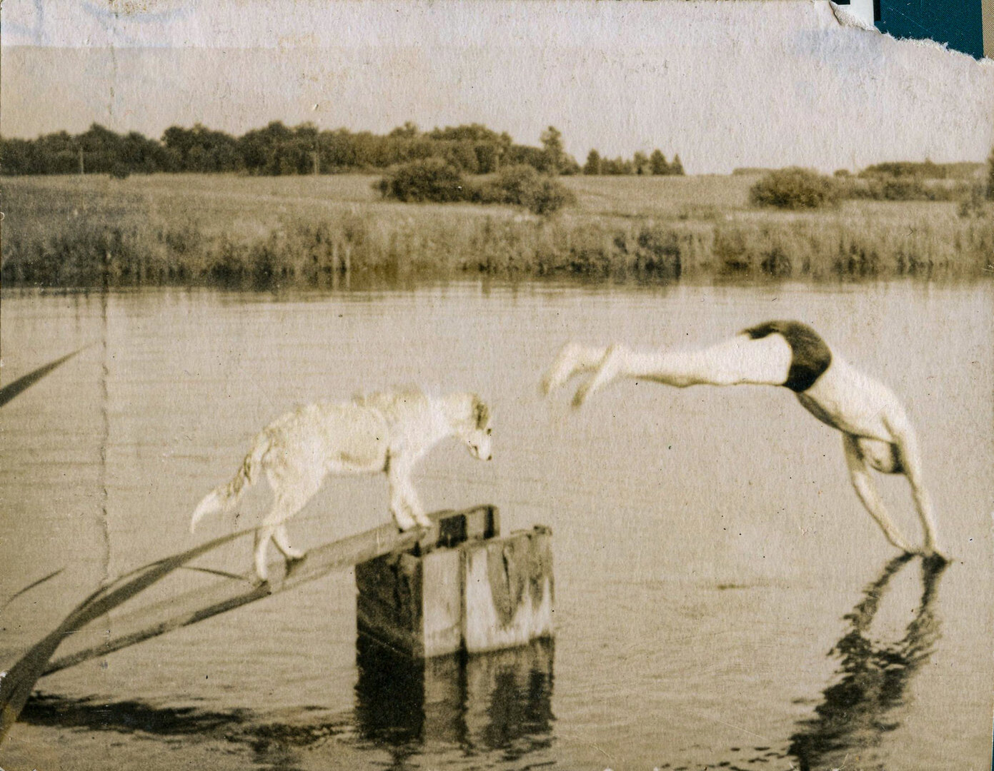 Poilsiautojų nuotraukos