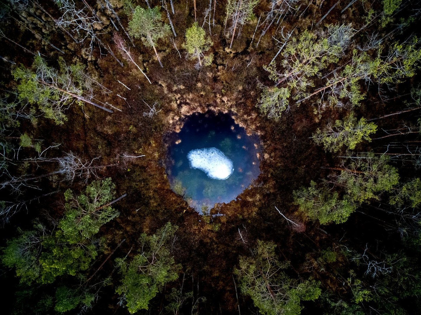 Teleportas