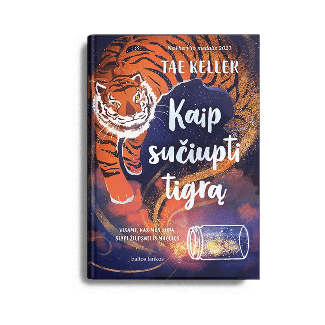 Knygų mockupas5