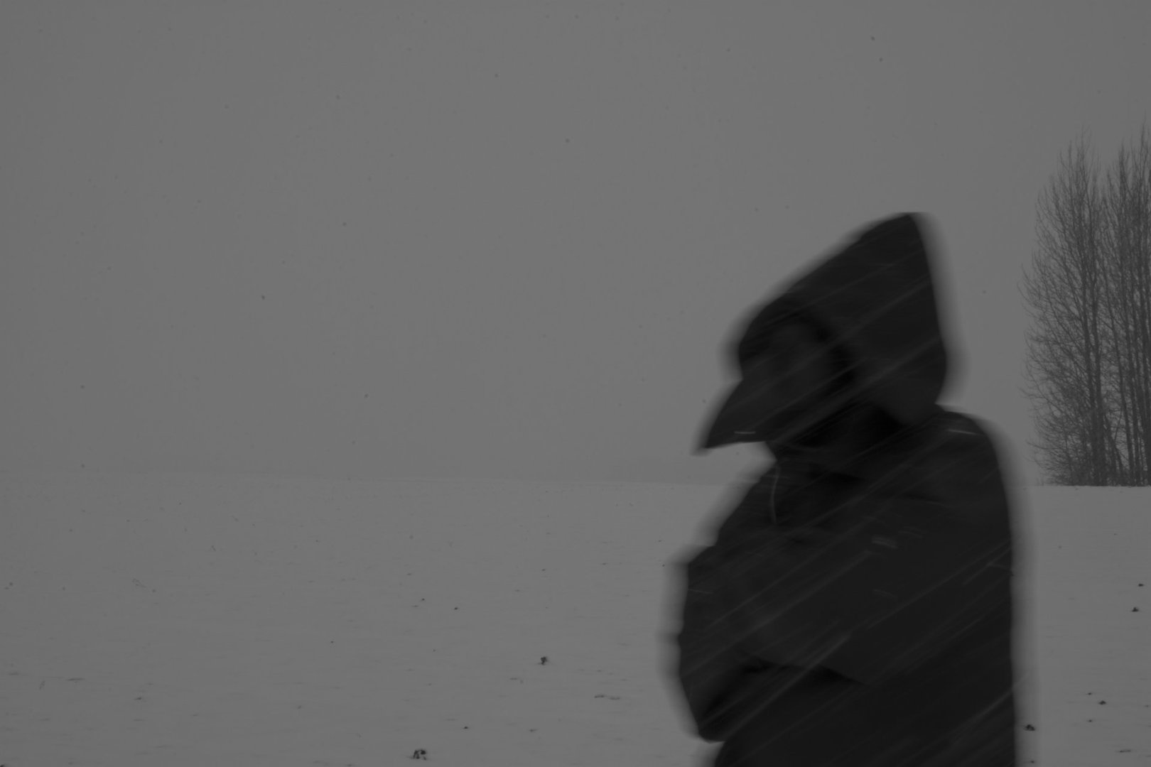 DSC_0624--raw bw juod snaiges