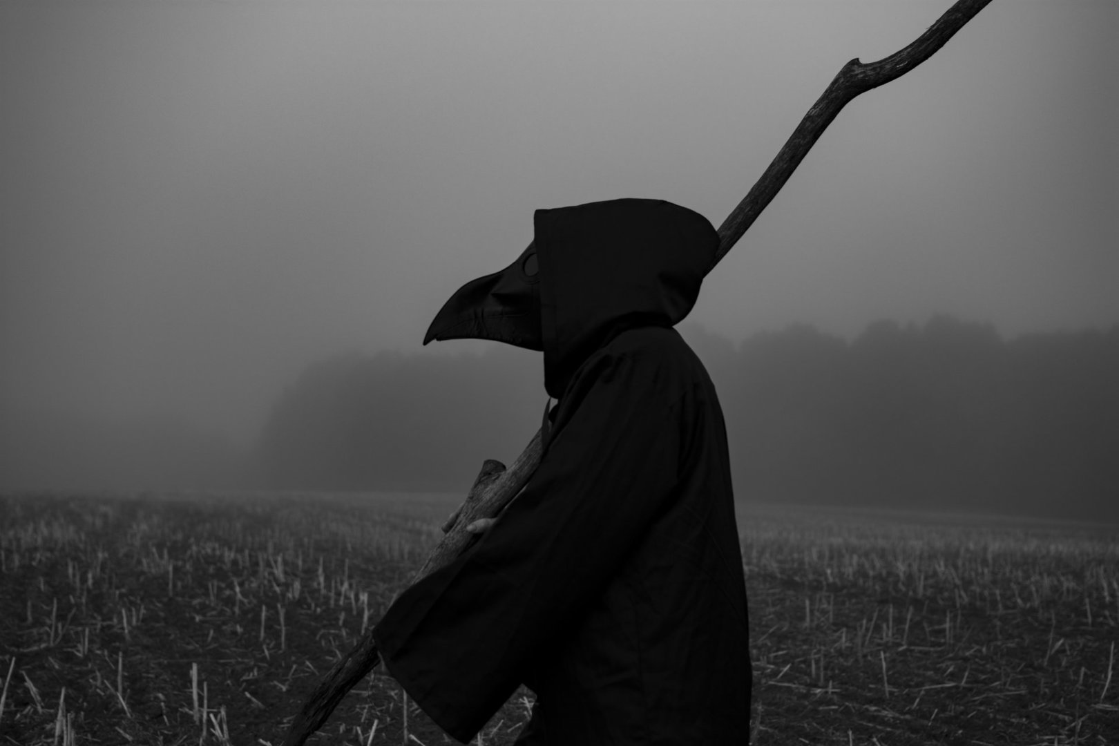 DSC_5000---raw bw