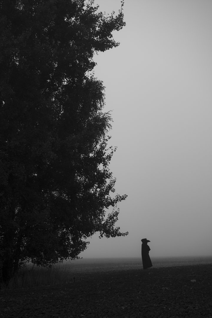 DSC_5135---raw bw