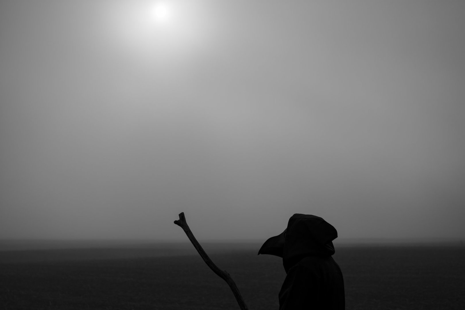 DSC_5347---raw bw