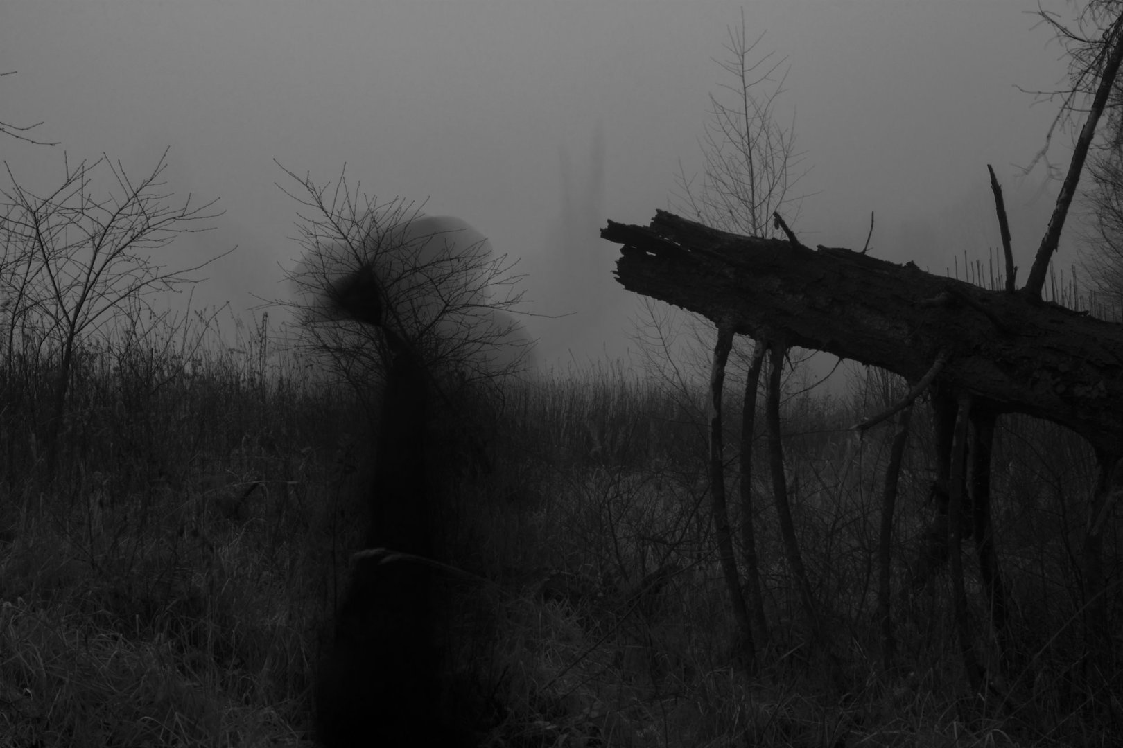 DSC_6326--raw copy