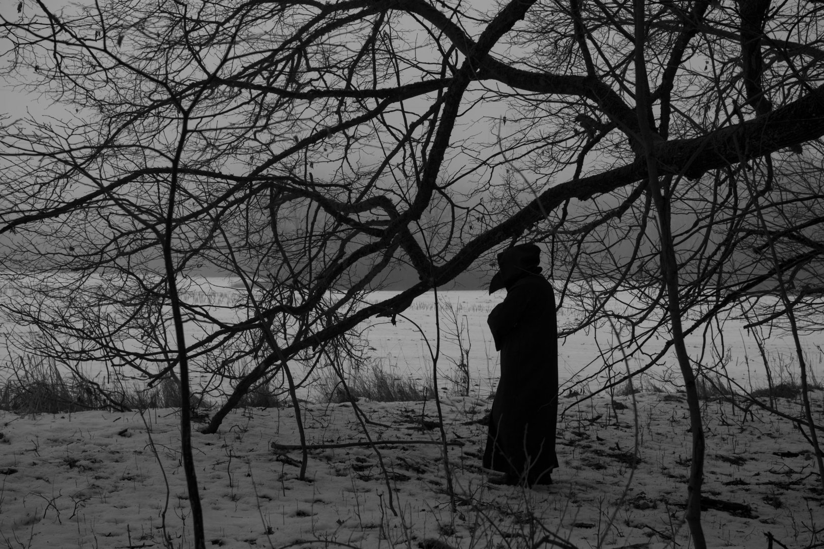 DSC_6812--raw bw (1)